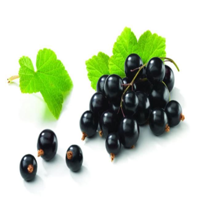 BlackCurrant Eliquid
