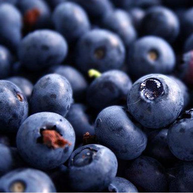 Blueberry Eliquid