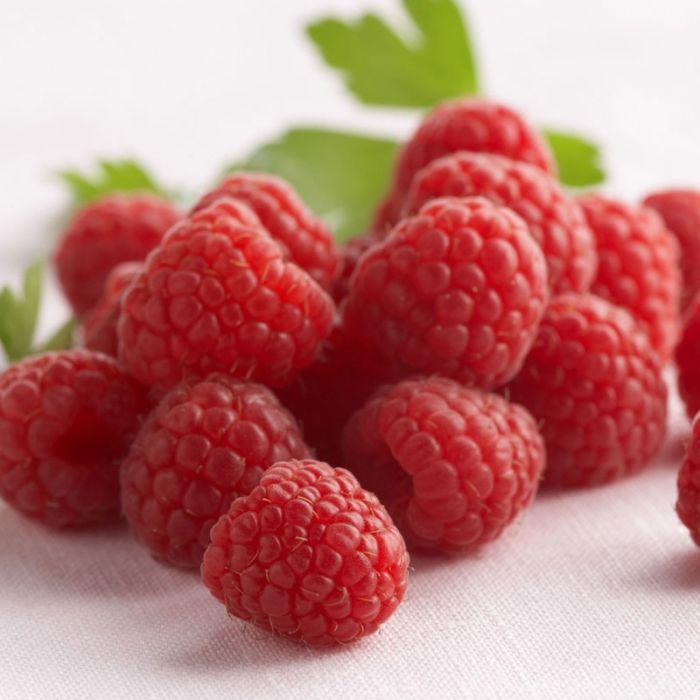 Raspberry Eliquid