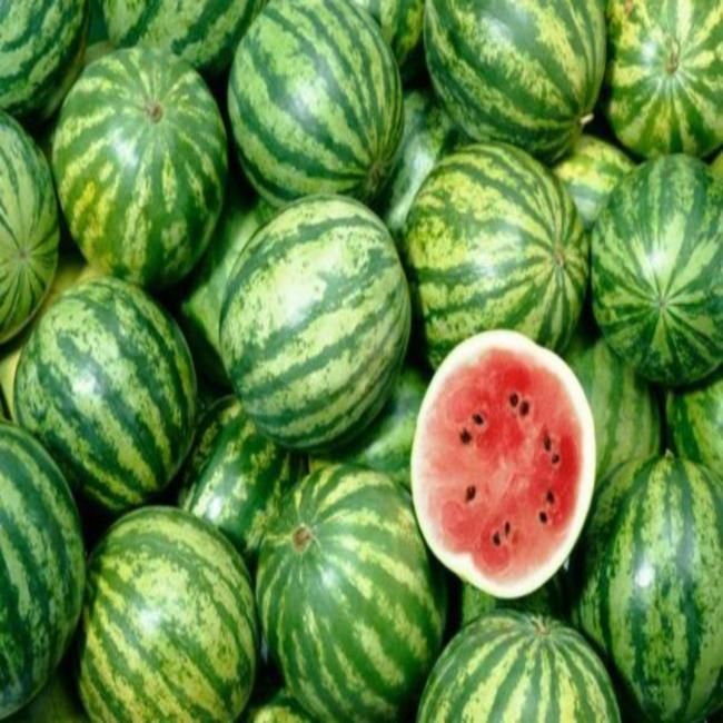 Watermelon Eliquid